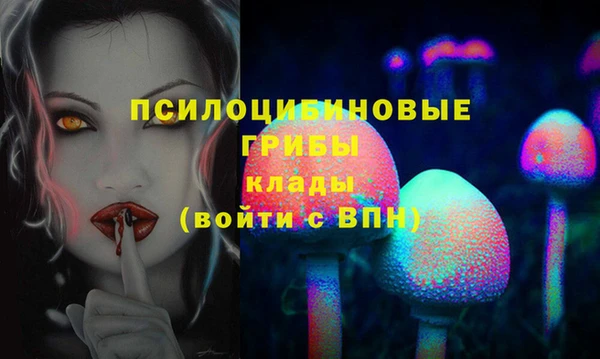 кокс Белокуриха